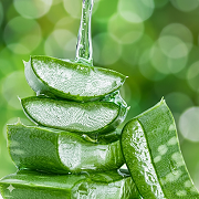 Aloe Vera​