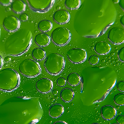 Chlorophyll